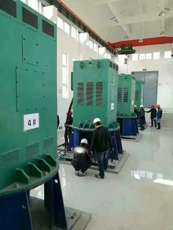 广陵某污水处理厂使用我厂的立式高压电机安装现场
